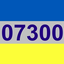 07300